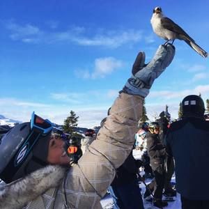 Meet your Posher, Violet