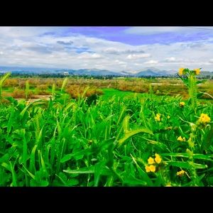 Meet your Posher, Angelica