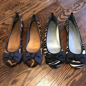 Leopard & Zebra Flats