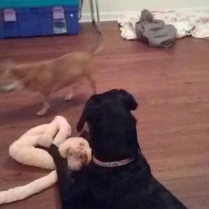 Meet your Posher, Lori