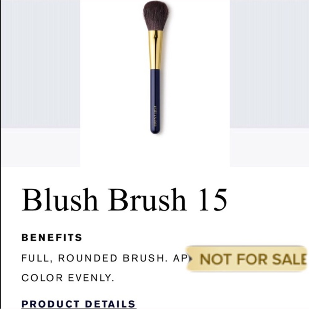 Estée Lauder 💙 Blush Brush (15)