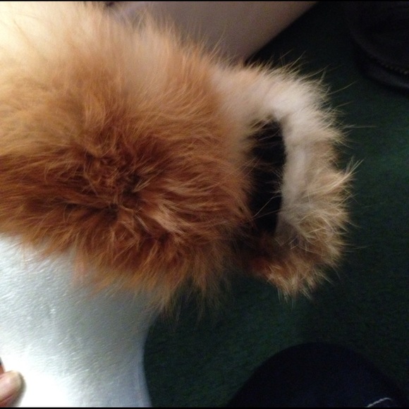 Fox  head band