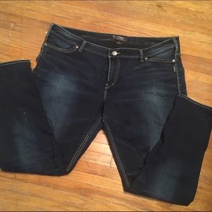 Silver Plus Size Suki Skinny Jeans