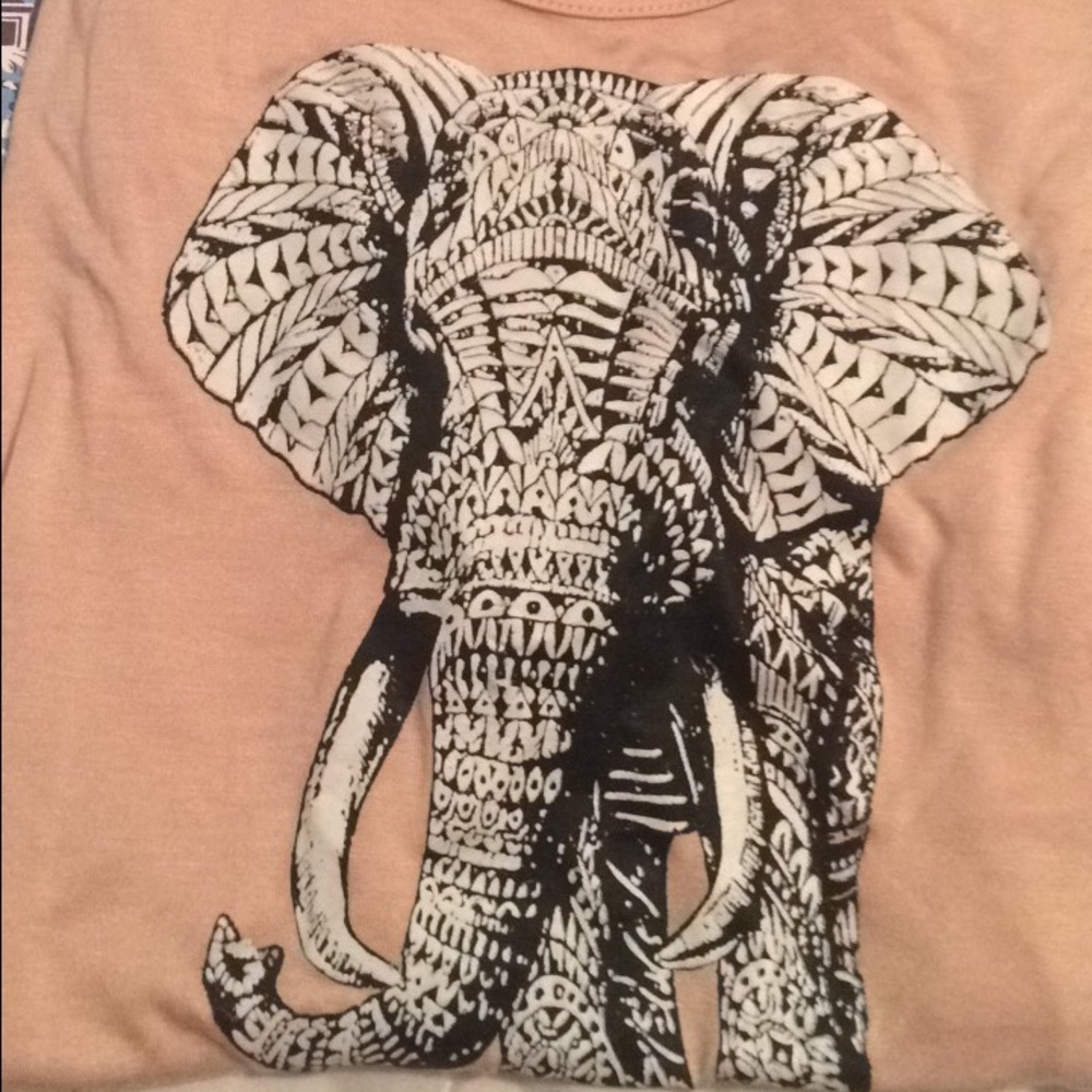 Cambodian elephant crop top! Never worn