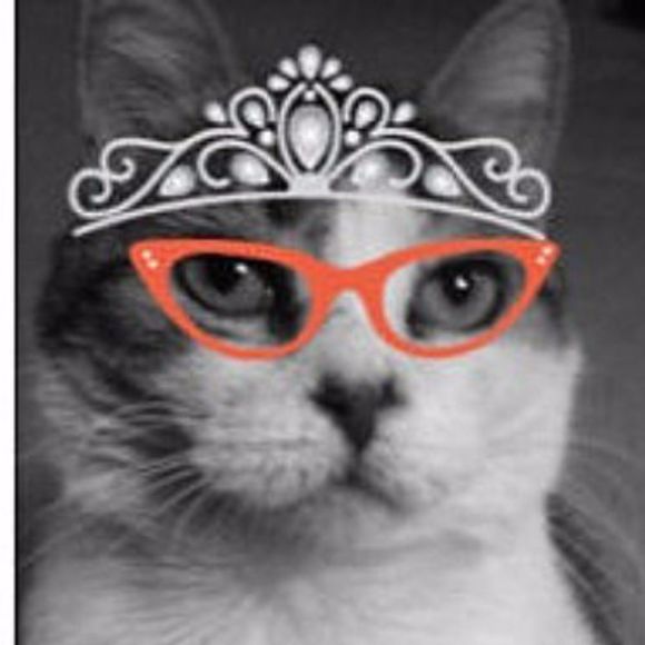 Meet your Posher, Laura - Picture 2 of 11