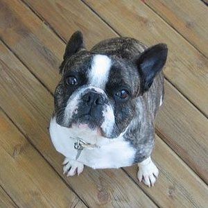 Meet your Posher, Katie