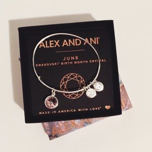 Alex and Ani Swarovski Crystal Charm Bangle BNIB