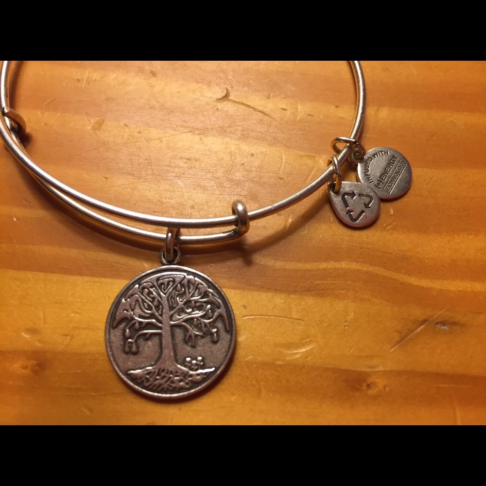 Alex and Ani Tree of Life Bracelet