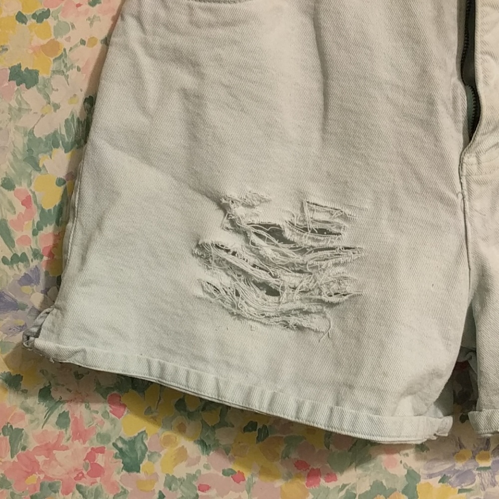 Vintage High Waisted Distressed Shorts - Picture 4 of 5