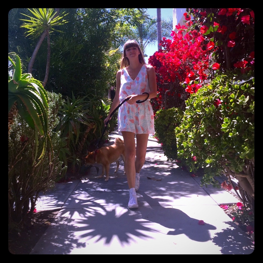 Hello! - Picture 1 of 1