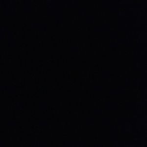 Meet your Posher, Sidney