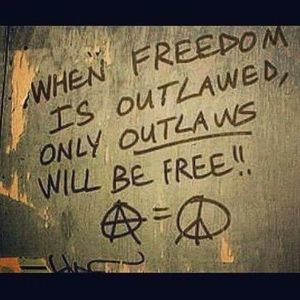 Meet your Posher, Koreena