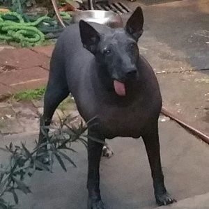 Meet your Posher, Dan