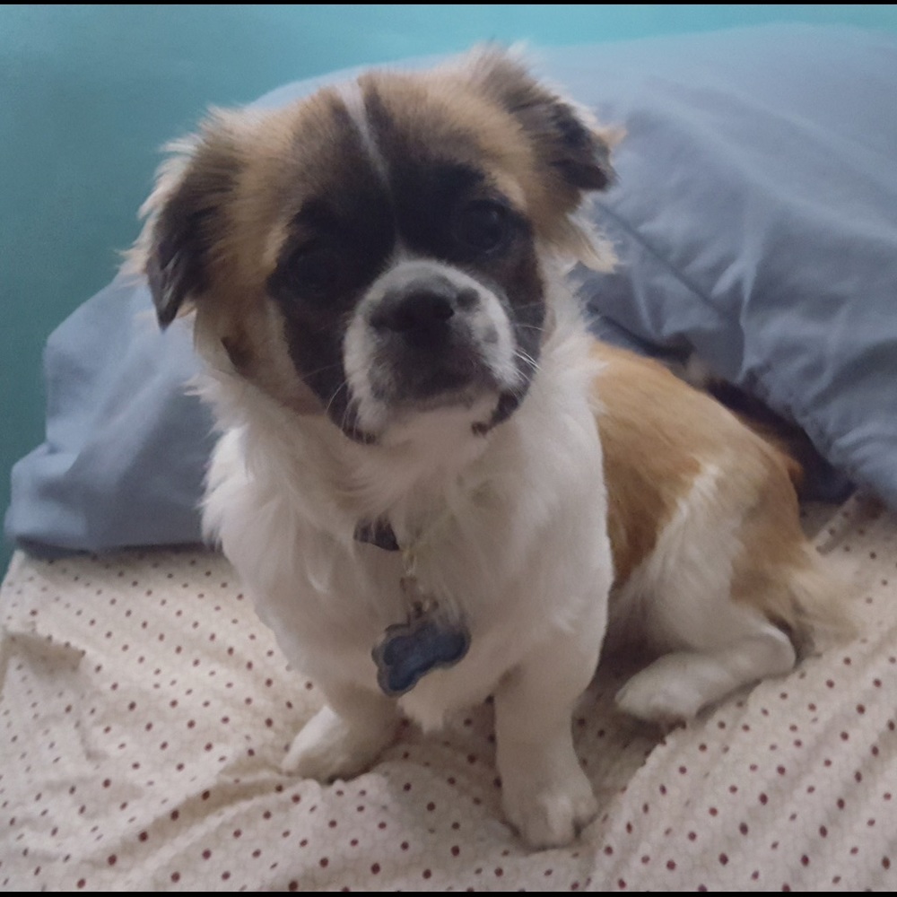 Meet your Posher, Mireya