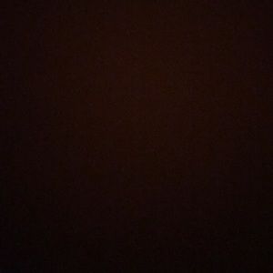 Meet your Posher, Payton