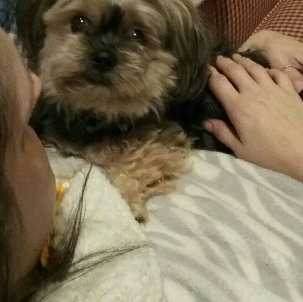 Meet your Posher, Cindy