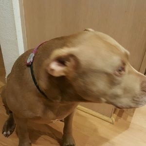 Meet your Posher, Michele