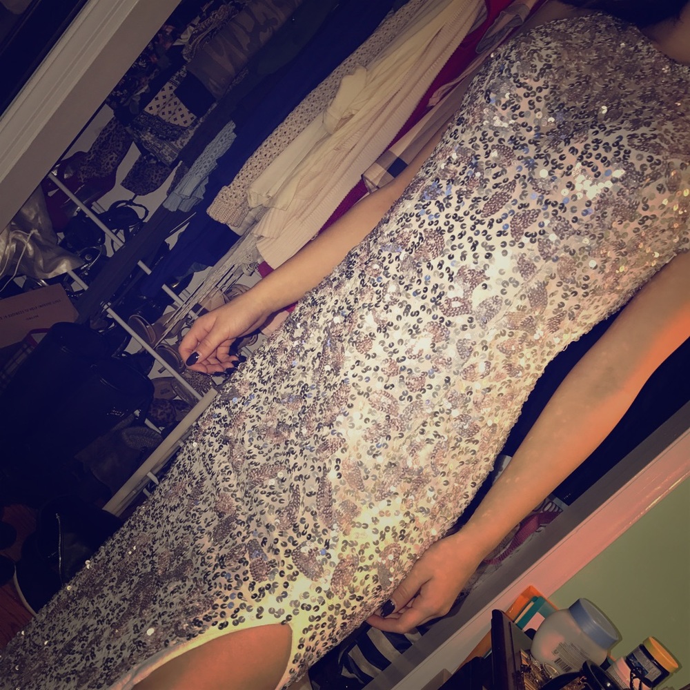 Sliver and dusty rose evening dress.