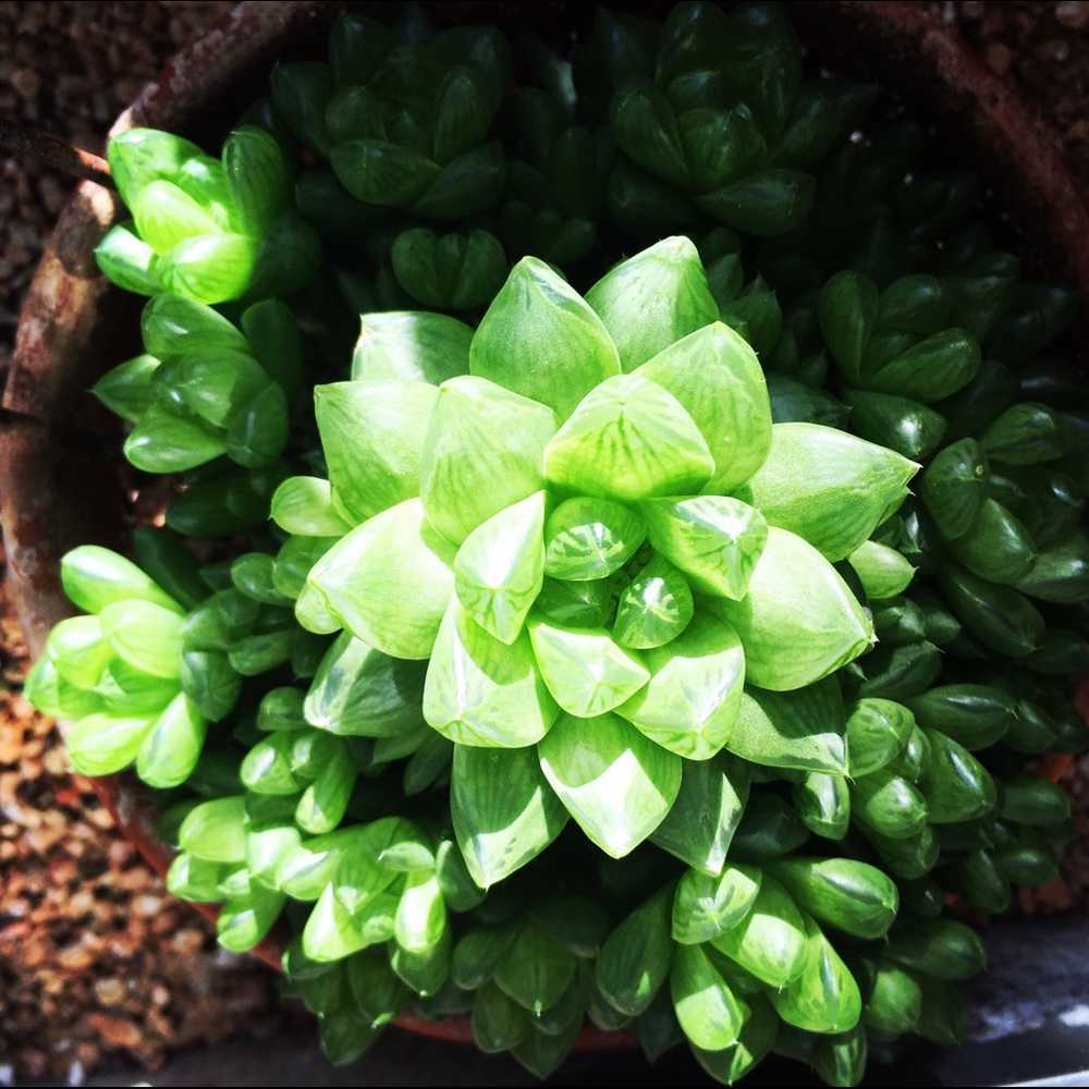 Meet your Posher, Mel