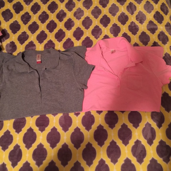 Polo Lot - Picture 4 of 4