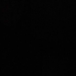 Meet your Posher, Julio