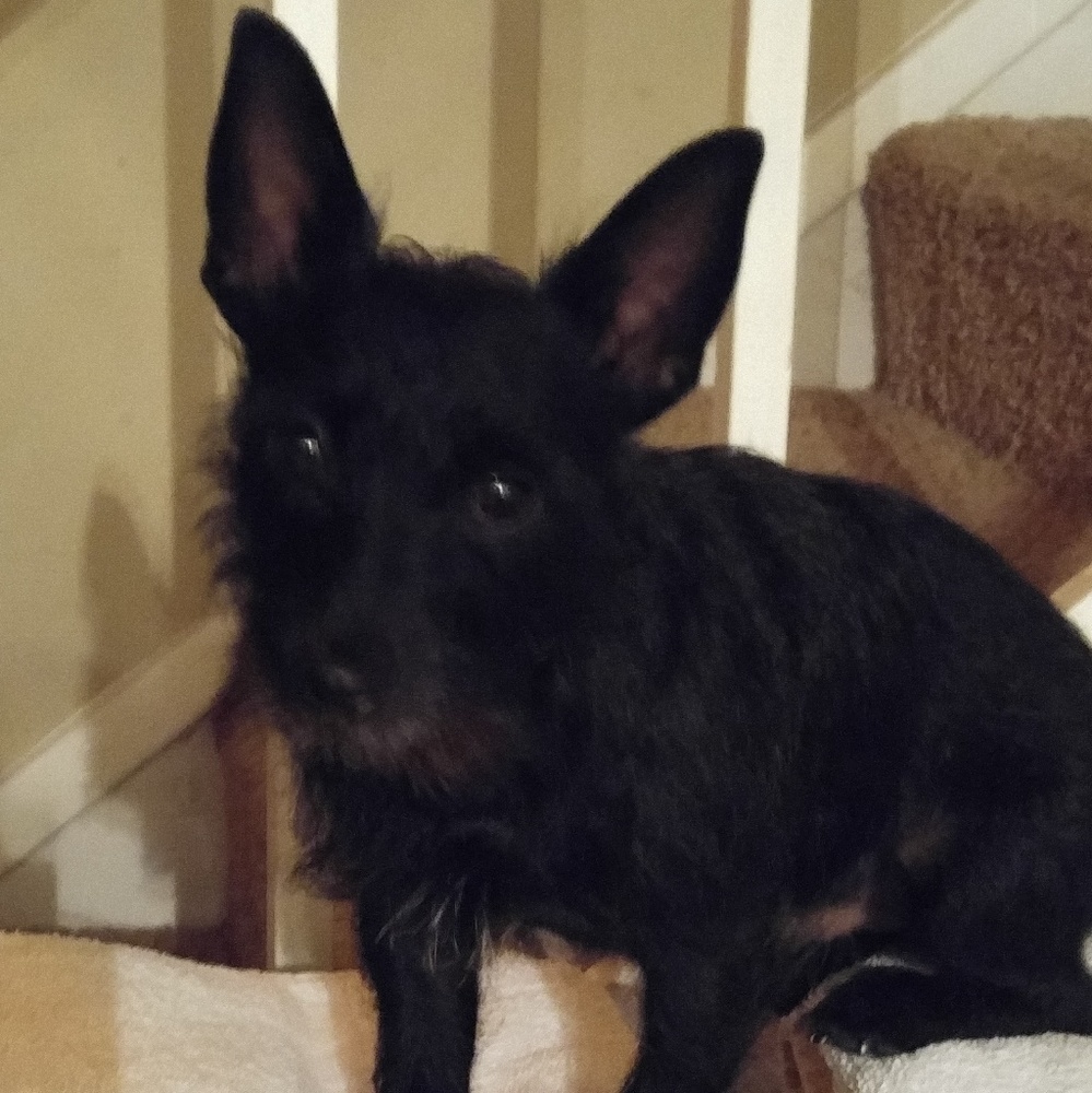 Meet your Posher, Eileen