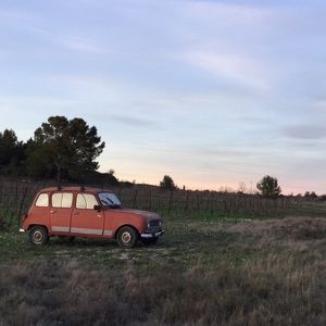 Meet your Posher, Sophie