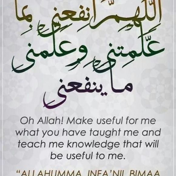 Meet your Posher, Lamees - Picture 1 of 1