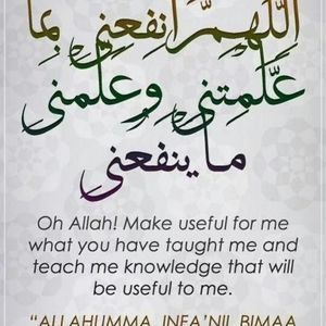 Meet your Posher, Lamees