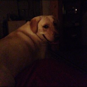 Meet your Posher, Alicia