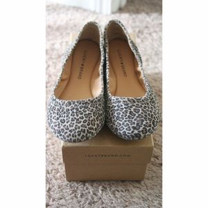 NWT Lucky Brand Ballet Leopard Leather Flats