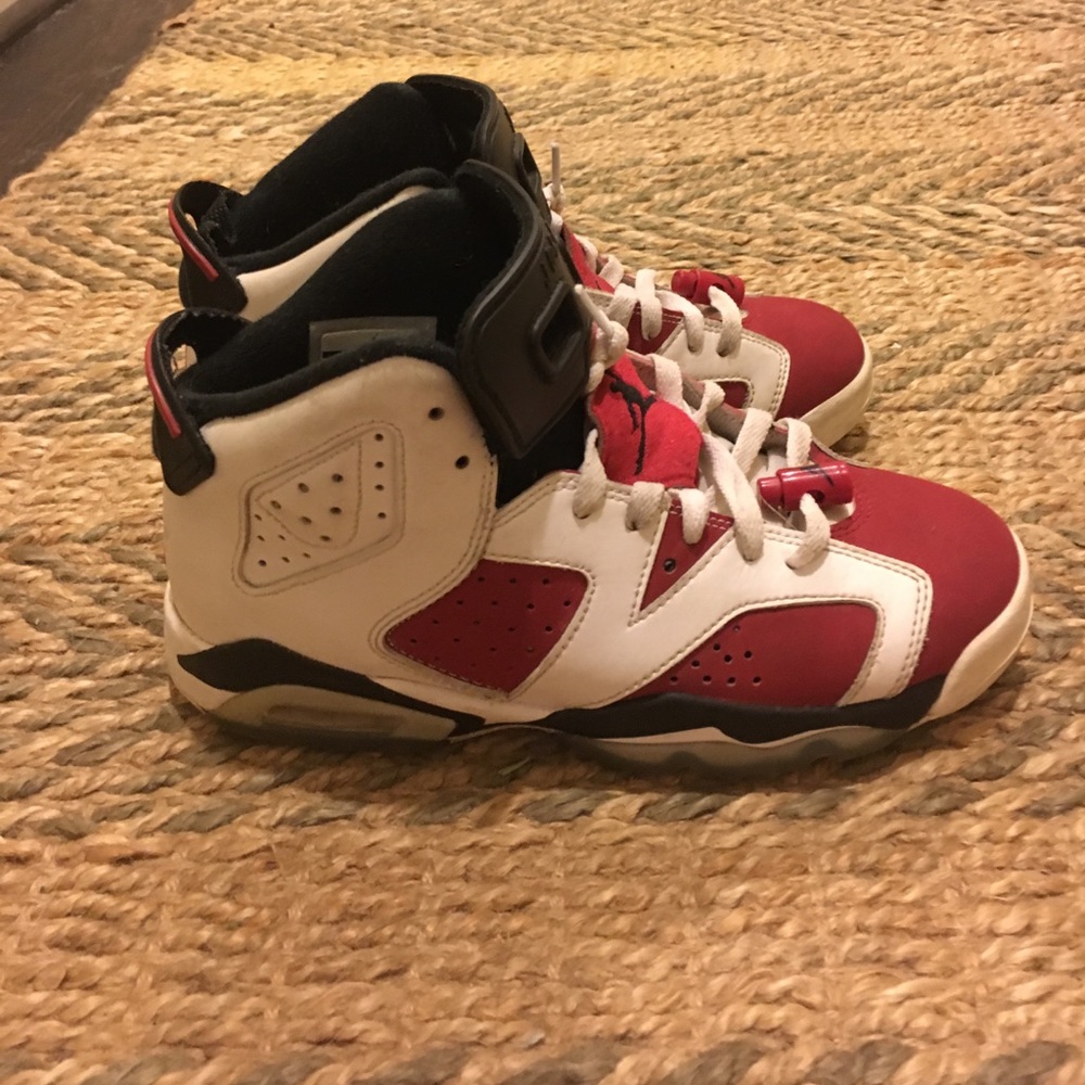 Jordan carmine 6s