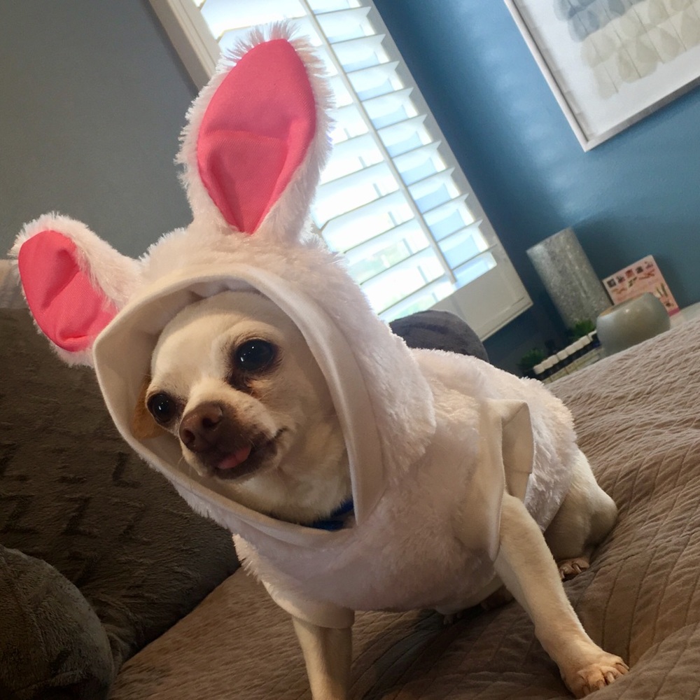 Meet your Posher, Emily