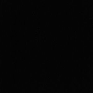 Meet your Posher, Gavin