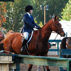 Meet your Posher, Alisha