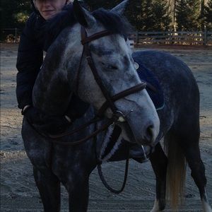 Meet your Posher, Gentry