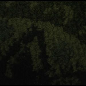 Meet your Posher, Zach