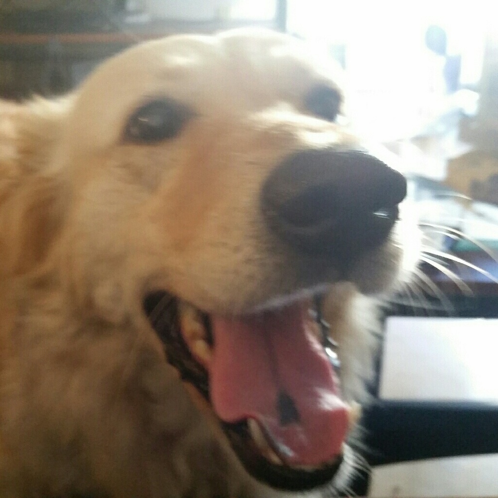 Hey,  I'm Ava!