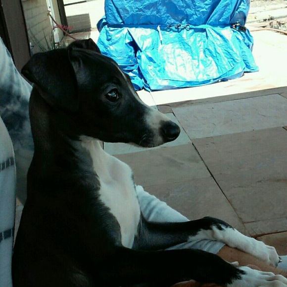 Meet your Posher, Christine - Picture 3 of 4