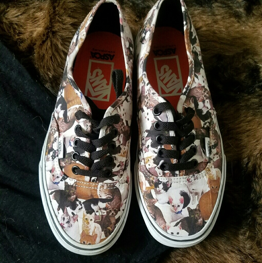 ASPCA cat Van's