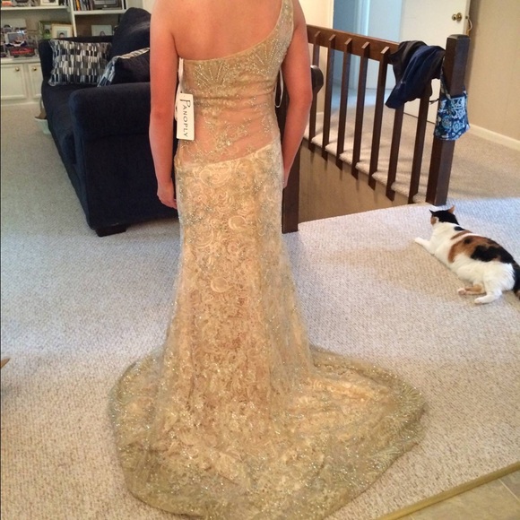 Champagne and Gold Panoply Pageant Gown - Picture 3 of 5