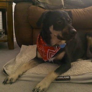 Meet your Posher, Eva