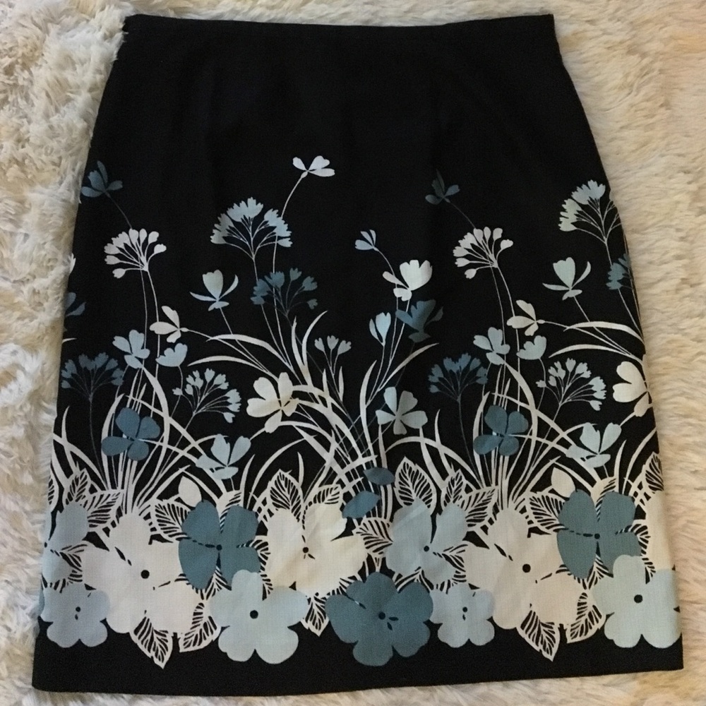 Ann Taylor skirt