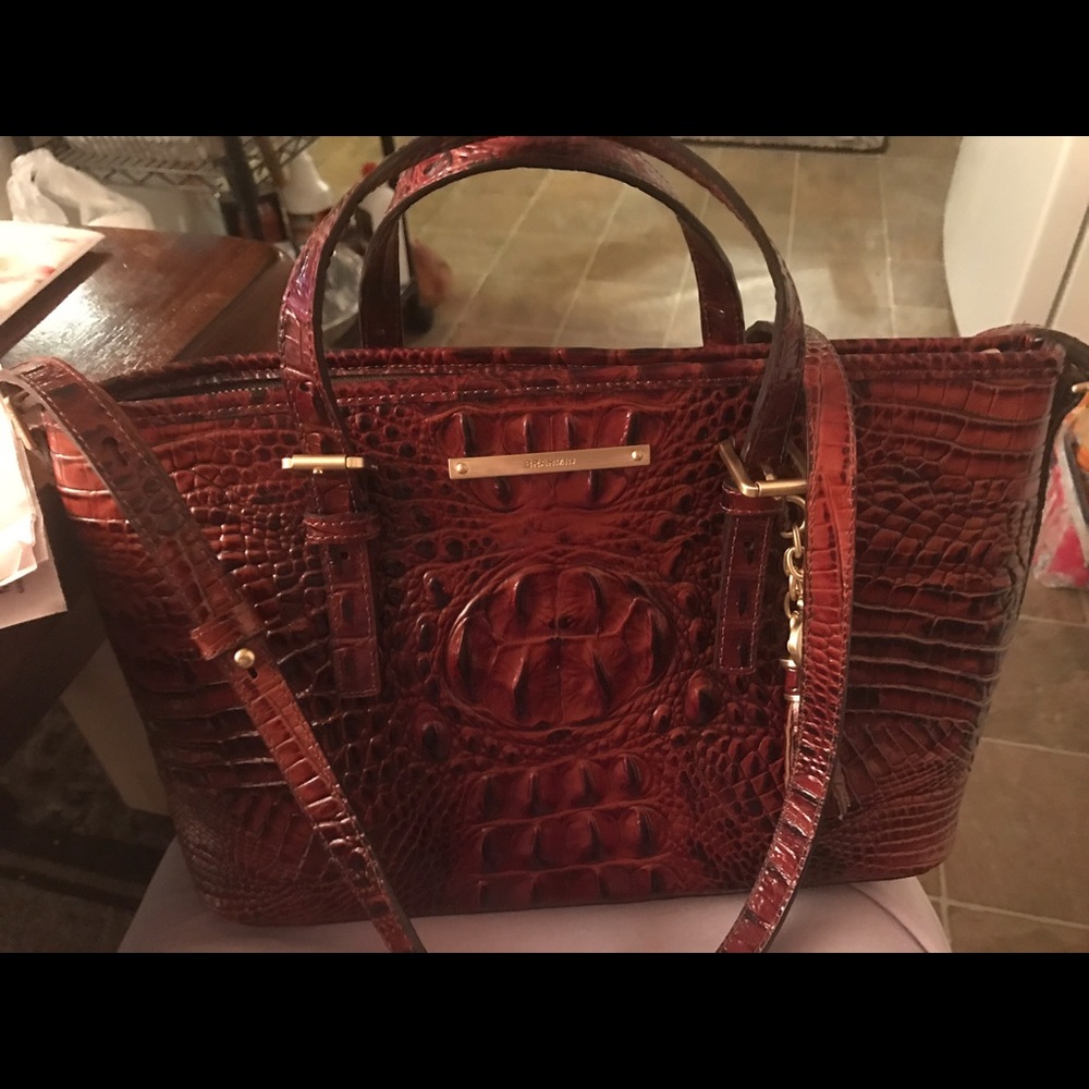 Brahmin Asher Mini