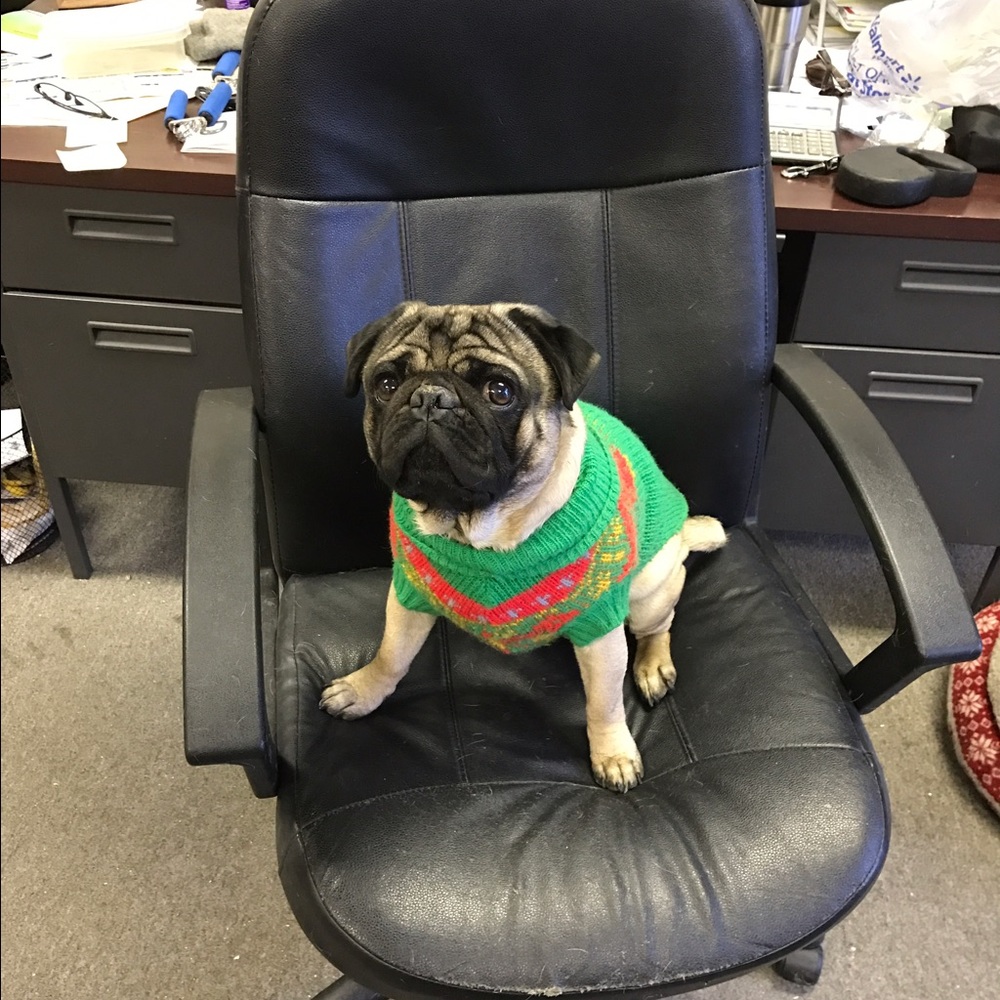 Meet your Posher, Pat