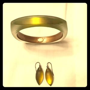 Alexis Bittar lucite bangle and earrings