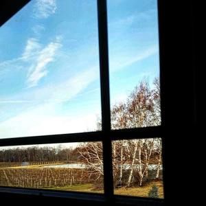 Meet your Posher, Mitchell