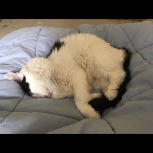 Meet your Posher, Deanna