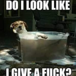 Meet your Posher, Andre