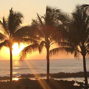 Meet your Posher, Estelani